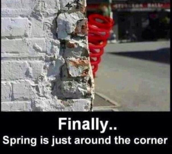 19b007fadbab24a32ee7afef4d99558a