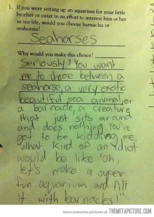 f1b4dba56f5bd3a8120415b2a8327934