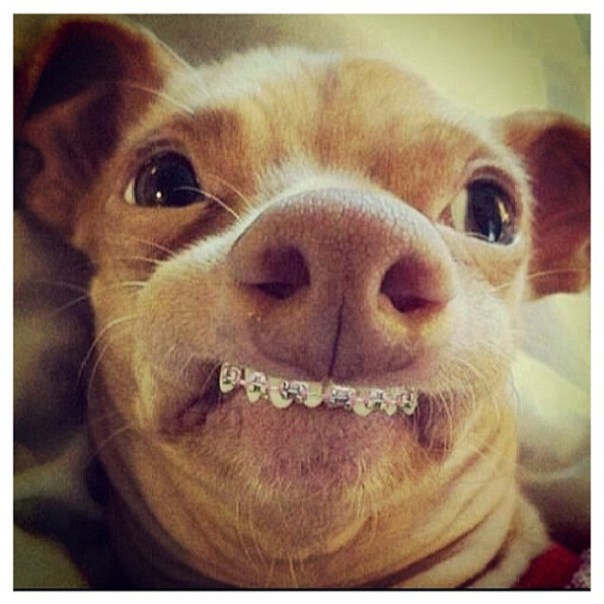 9432526479_58897cf59a_z