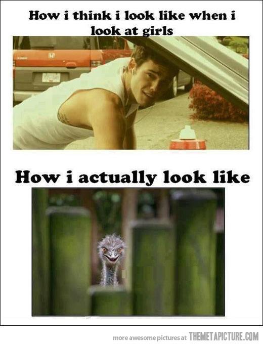 f9783f7dedf231a50c113623b679b290