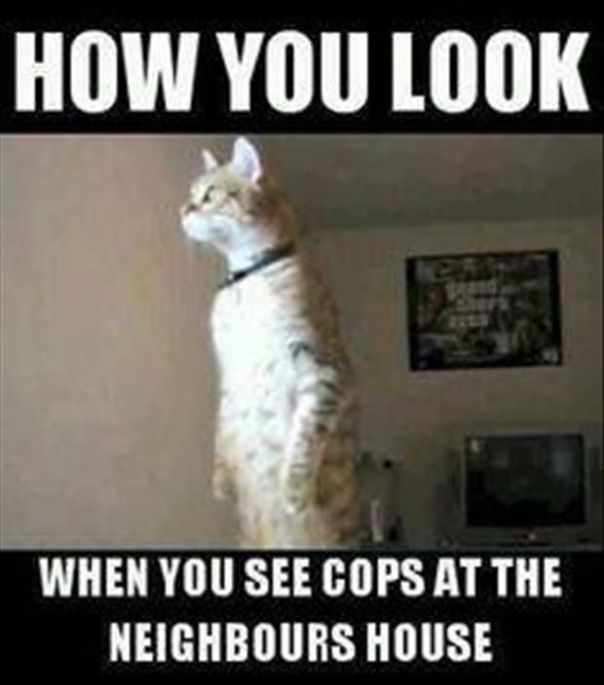 29e8c01dc2e8e23103d7606d5442888d