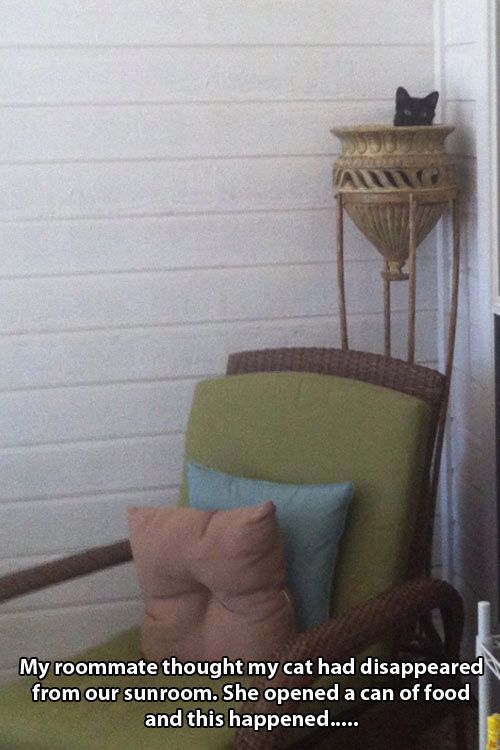 8407a12b76373767d1f80365a84221ad