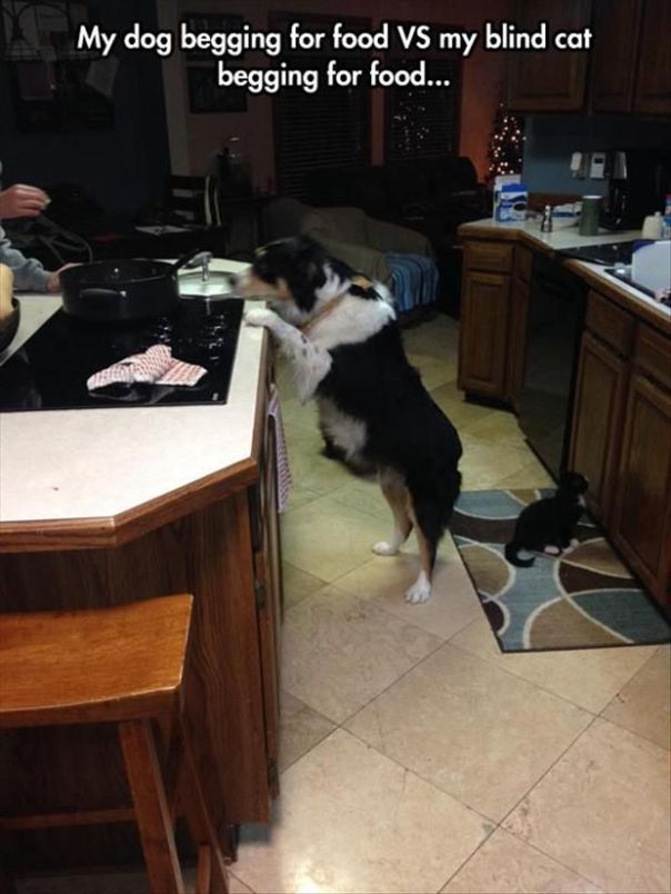 923c019dcb9a4aeb9c9a86be0aba3fb1