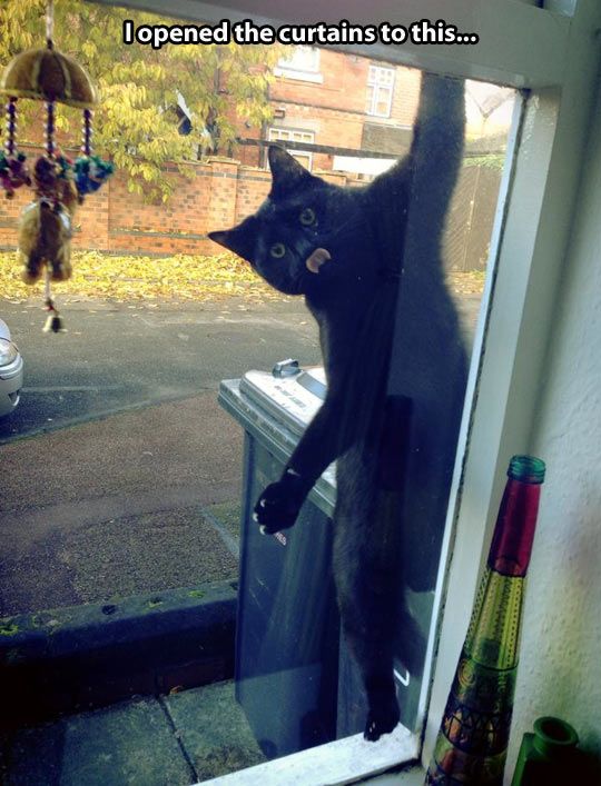 99fac7db15635764bfbaea8f193dc1bb