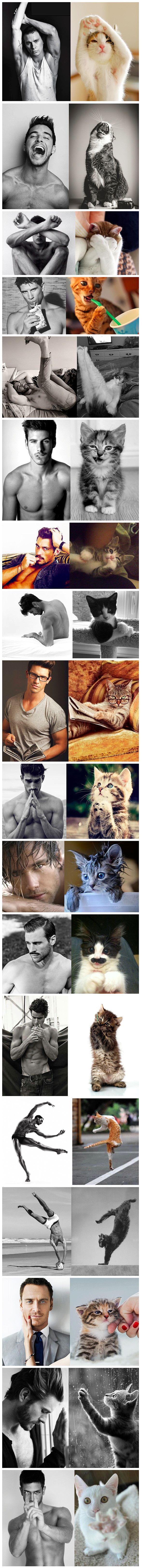 d0b04118fe1a510f27a969cf3ad6c1ac