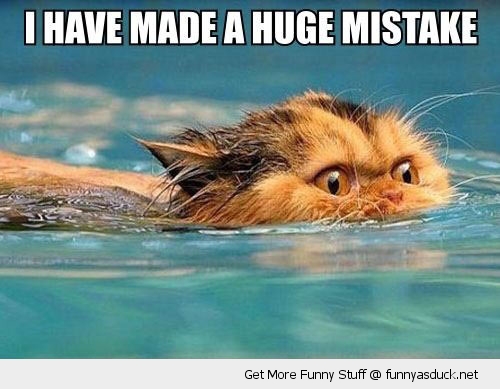 funny-cat-mistake-swimming-water-pics