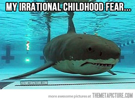 funny-shark-swimming-pool