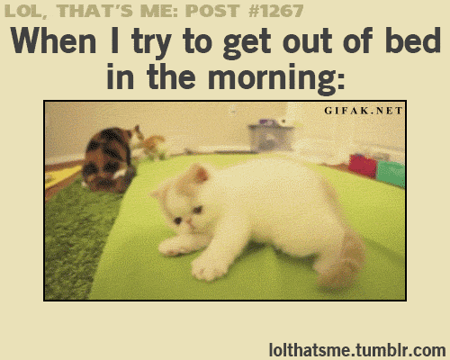 82100931ce46d7c509929d99df723876