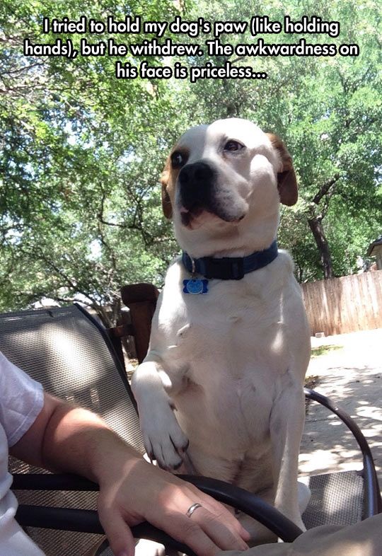 a9bf4282d2892ef64c19da732fed51ca