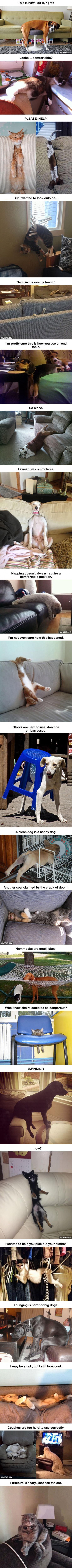 d23beaecfd42416ca2abf2314c8a2ca8