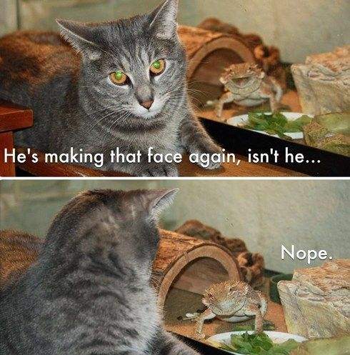 076ad853f041daed032f87770674faab