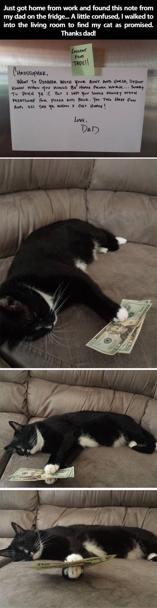 0ddd667698d52f13b37c566d351eccb4