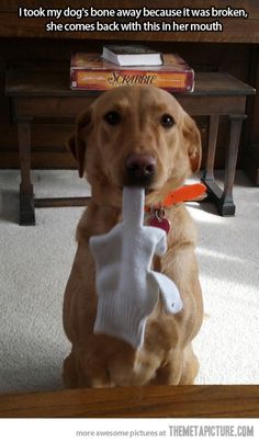 1441850b0c188455cd4713ad612d79d7