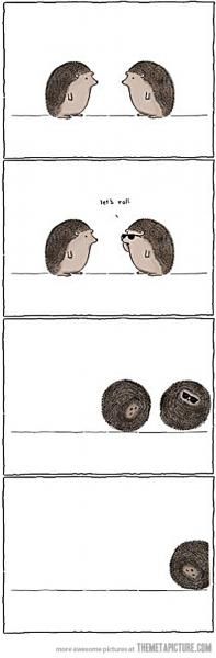 739c1c54044b3c1fe408fc8ebd40afb2