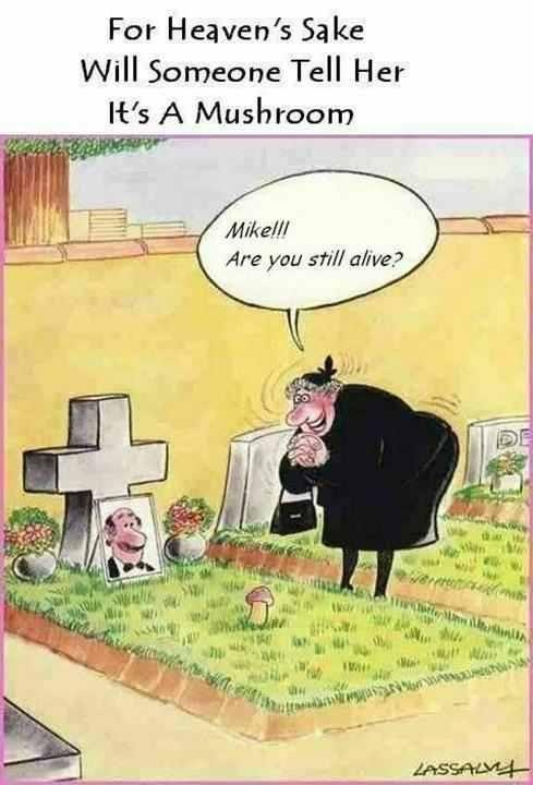 79d17b817c3b37fa13c64c86f358fb26