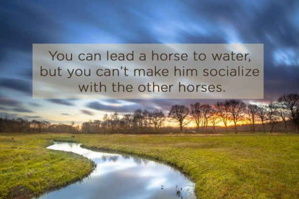 9cd5ece168dc9b2b35731f7b45efedbd