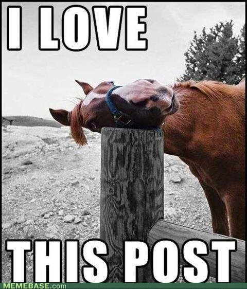 c5e1f145d53925ccdbcb8a6ac161cbe0