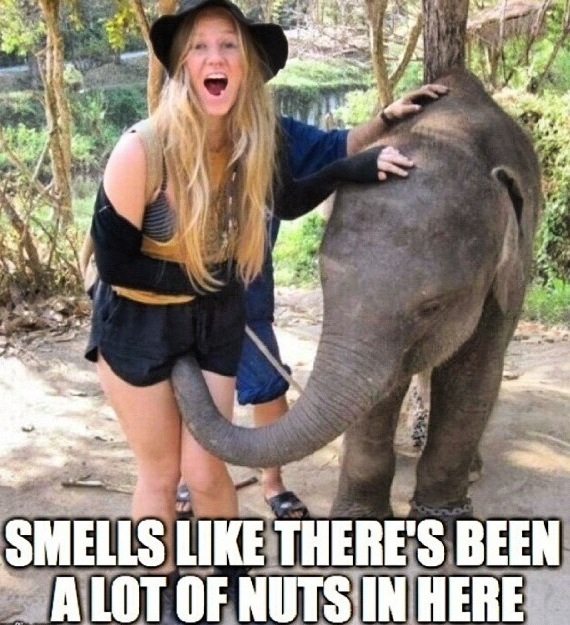 http%3A%2F%2F31.media.tumblr.com%2F14e8e40141ccff2058173689f844e384%2Ftumblr_namqvt2PYQ1s7fwo7o1_1280