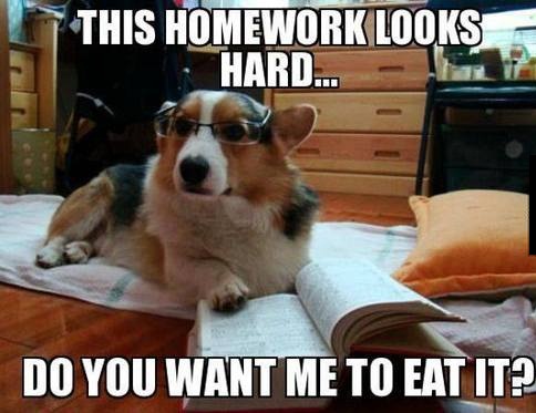 http%3A%2F%2F38.media.tumblr.com%2Fa8c2d811ba6aef3113edeae48786f851%2Ftumblr_na3tik5EWs1sxvay0o1_500