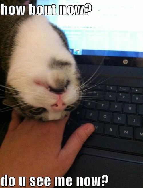 http%3A%2F%2F38.media.tumblr.com%2Ff6f3ec0195e121fe7a39969d825314a7%2Ftumblr_na3tpwpYmo1sxvay0o1_500