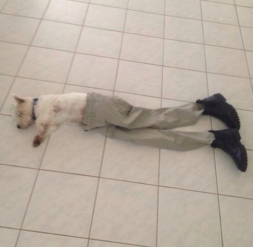 tumblr_n9vjo3pHKh1s7fwo7o1_500