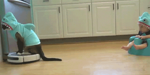 tumblr_nafq99kJ5h1ry46hlo1_500