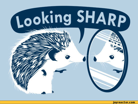 http%3A%2F%2F33.media.tumblr.com%2F7bcbd14536f59e216958d65697fb530c%2Ftumblr_nb63wizC3p1sxvay0o1_1280