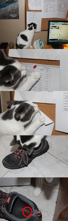 http%3A%2F%2F37.media.tumblr.com%2Fa1a70d3081804d23ccc5b87bed536614%2Ftumblr_nawyy5i5R01s7fwo7o1_1280