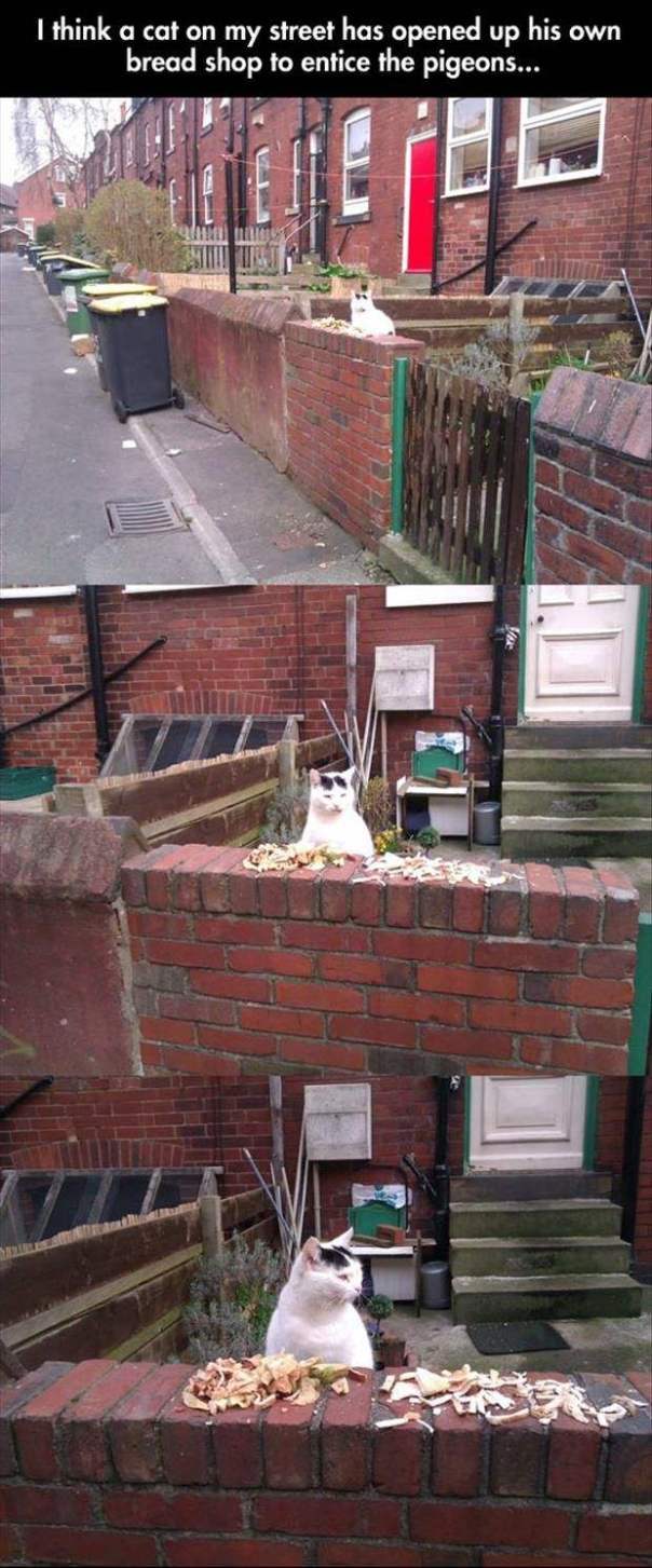 e43a7c747ae5039632c1973cc32fcf50