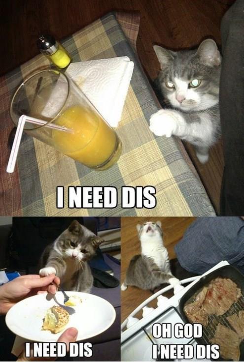 http%3A%2F%2F31.media.tumblr.com%2Fa6d9b057805fe3edd2f21b780fadee88%2Ftumblr_nbv0x2ZAQe1sxvay0o1_500