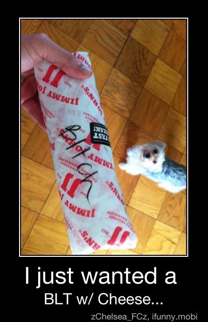 http%3A%2F%2F31.media.tumblr.com%2Fb629501270bcd2b96737a853006a0a2f%2Ftumblr_ncy5ltVJwY1sxvay0o1_500 (1)