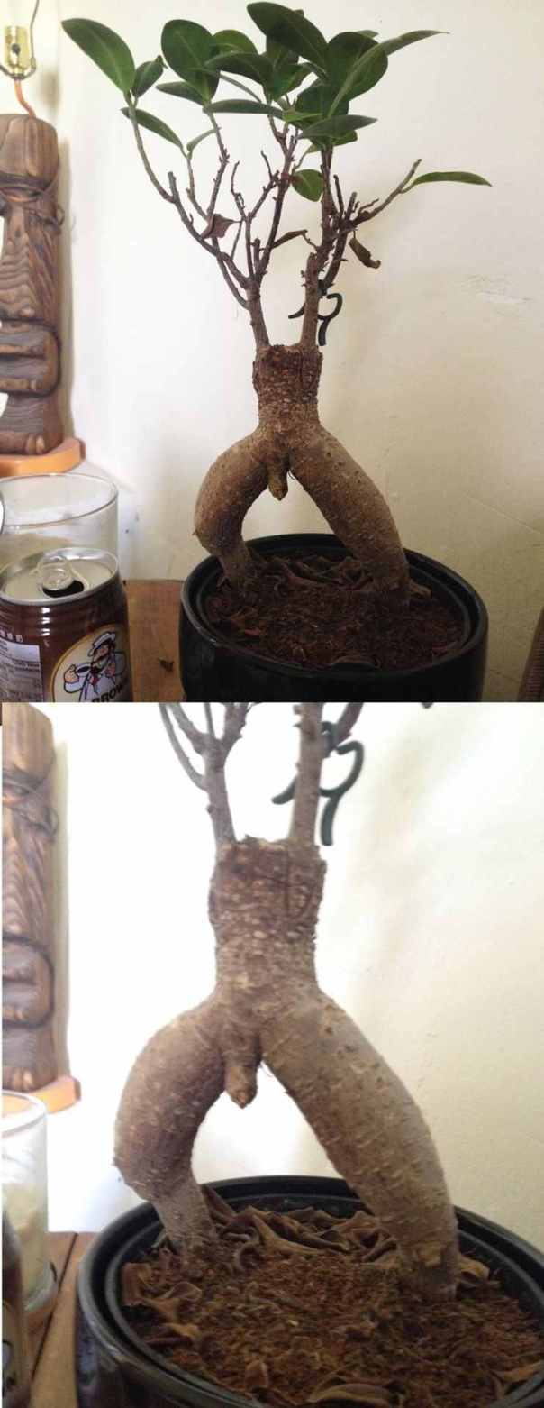 http%3A%2F%2F33.media.tumblr.com%2Ffa1da848200eb496a66c3e963fba510d%2Ftumblr_nde0kcvFCU1s7fwo7o1_1280 (1)