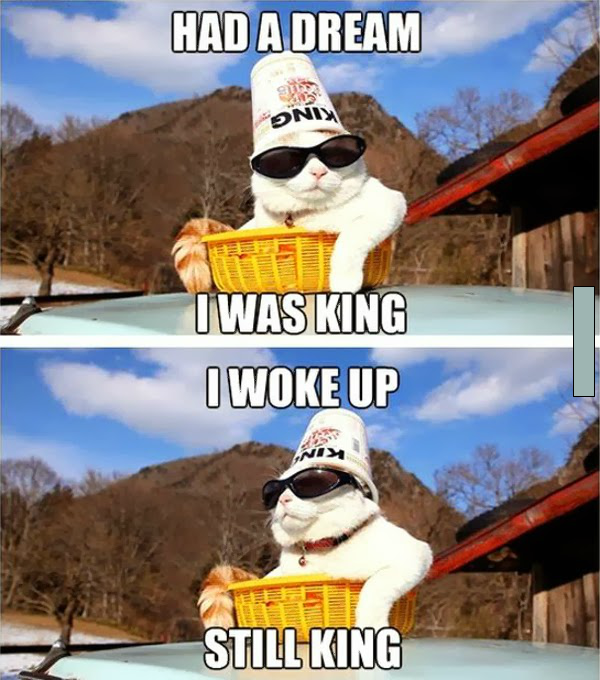 http%3A%2F%2F33.media.tumblr.com%2Fffb20188765627b8679a705b9789835e%2Ftumblr_nd1lwsKBzo1s7fwo7o1_1280