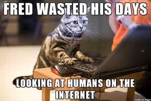 http%3A%2F%2F38.media.tumblr.com%2F1dbf1e1767ab0e7c88ad0aa0bec1b97d%2Ftumblr_nc7nf6ssYe1sxvay0o1_1280