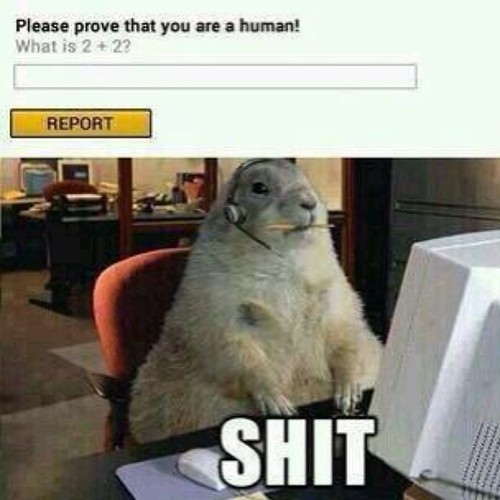 https%3A%2F%2F38.media.tumblr.com%2F96da8bf51acfa83f86a153ee86cf4c36%2Ftumblr_nc7nr08lCj1sxvay0o1_500