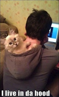 0a547ea1df1df51805819f634717bd5c