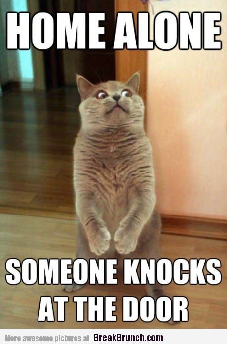 a9e1be76bac5b221d26afd9ca56aee2e