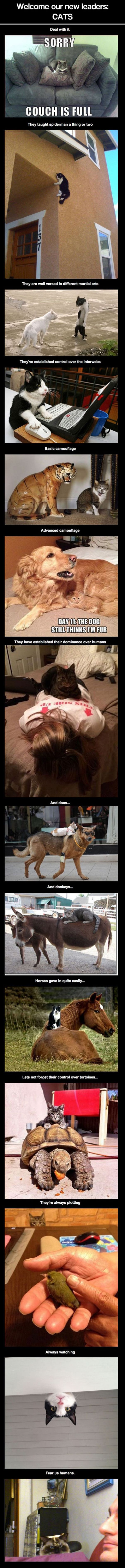 f00341bfc43df17a768a5a7c3d242b96