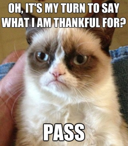 funny_thanksgiving_cat_pictures-8-438x500