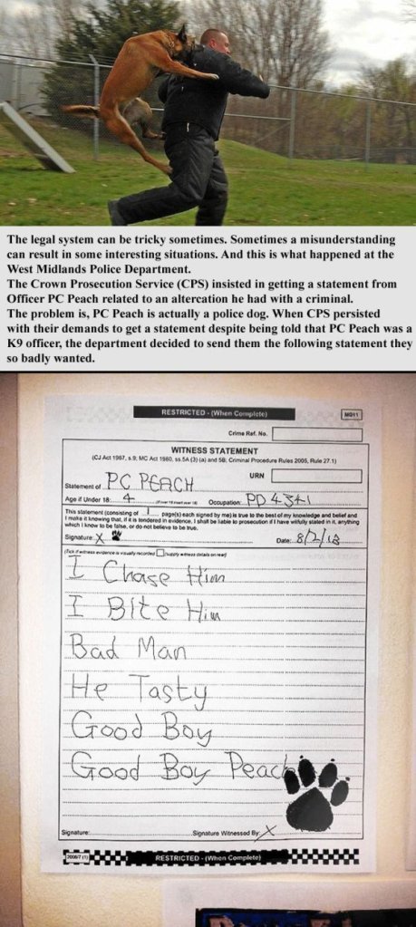 great-photos-thechive-awesome-2