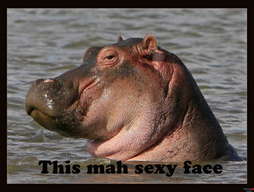 http%3A%2F%2F33.media.tumblr.com%2F05af8ea7c90c9649f54a16994e308cdc%2Ftumblr_ne1vgpkGH01sxvay0o1_500