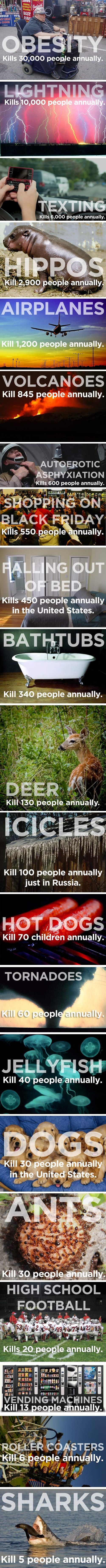 e0f607503ec721f7f8ebdf448238847a