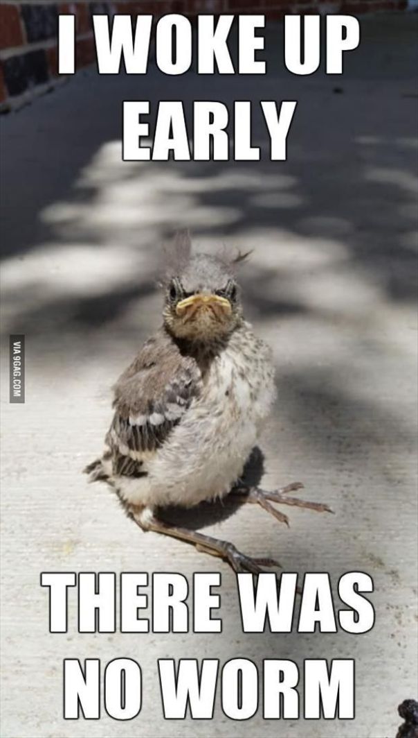 ec375964f2d512312b0c841dfb76da80