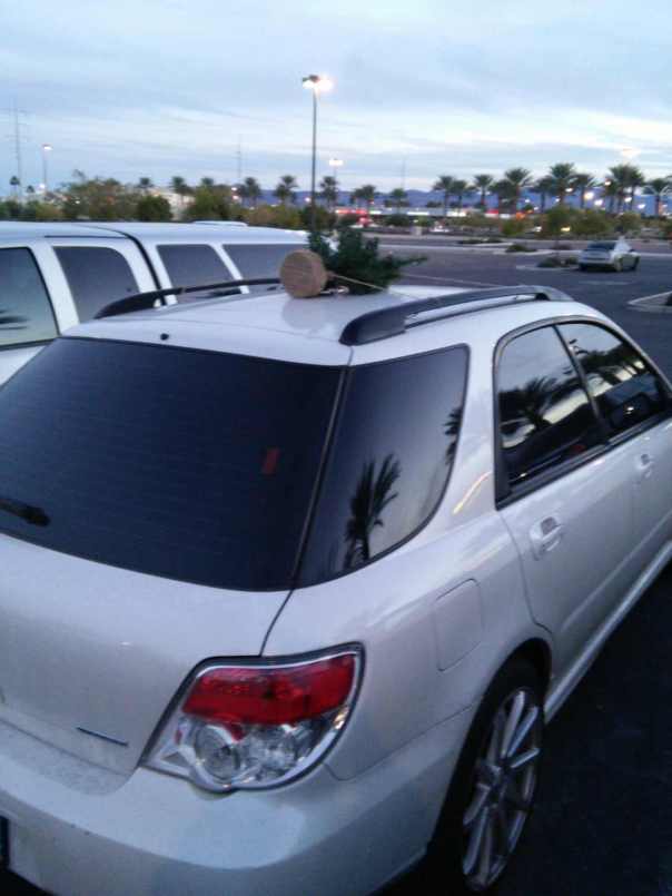 http%3A%2F%2F41.media.tumblr.com%2Fe78d2ce018e129709306b0658ec98d8b%2Ftumblr_ngm4x6lJ4V1s7fwo7o1_1280 (1)