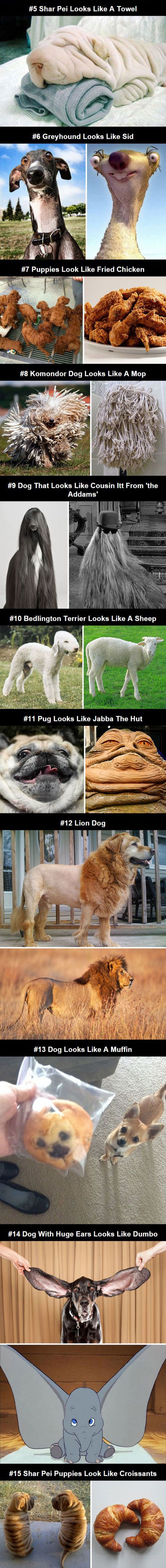 0241a97158fe50fd455934eb61a81df7