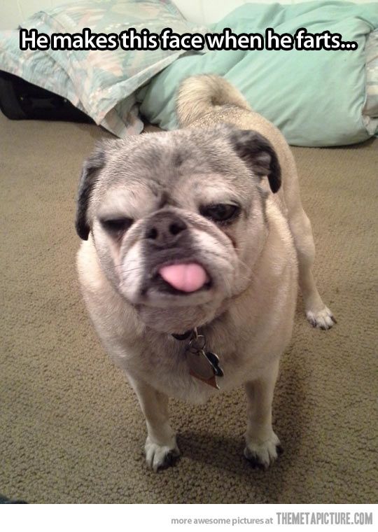 36d9d565f5ad5bbea305c4e2fd172da7