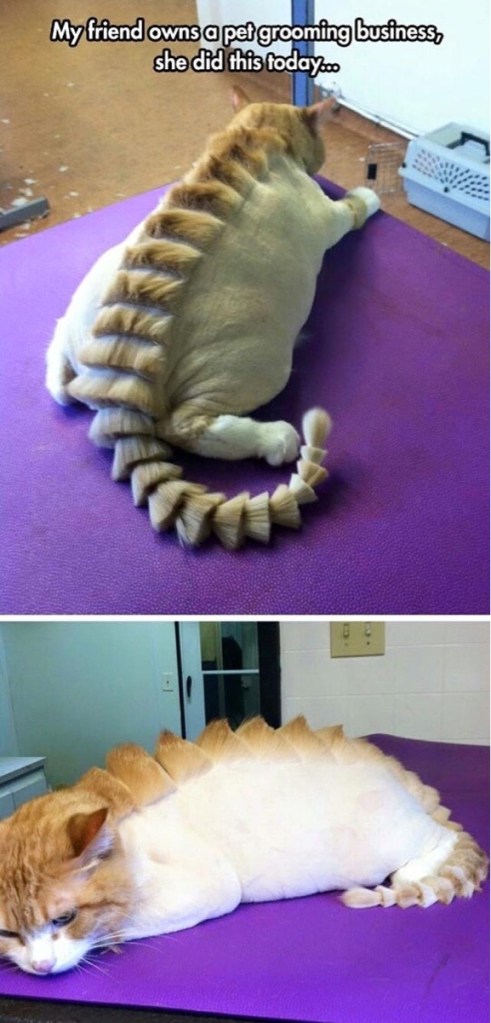 http%3A%2F%2F40.media.tumblr.com%2F0257090acba6bbc1301c9633d48a212a%2Ftumblr_ni0uh0FnFJ1s7fwo7o1_1280