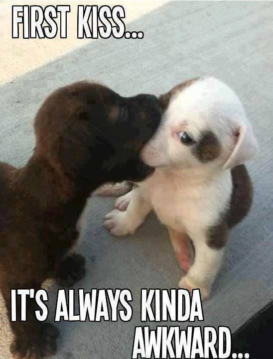 http%3A%2F%2F40.media.tumblr.com%2F59018cb0b2303b64b52a73e40a9e459b%2Ftumblr_nid81jc6IH1sxvay0o1_1280