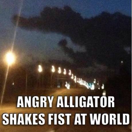 http%3A%2F%2F41.media.tumblr.com%2F2bae3db6a4a3fd88e84c6b3fd1d9c1ac%2Ftumblr_ni14o6vd7Z1sxvay0o1_500