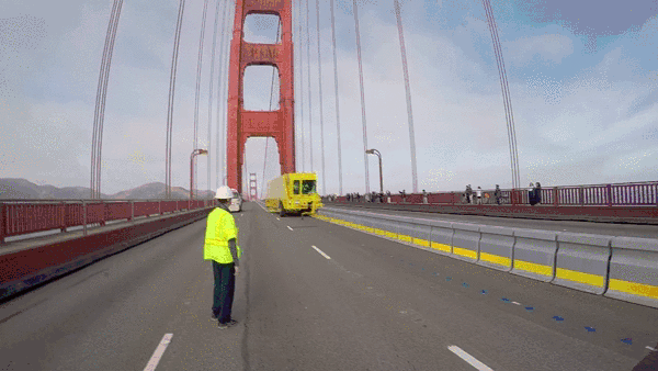 ScrawnyInsistentBuckeyebutterfly